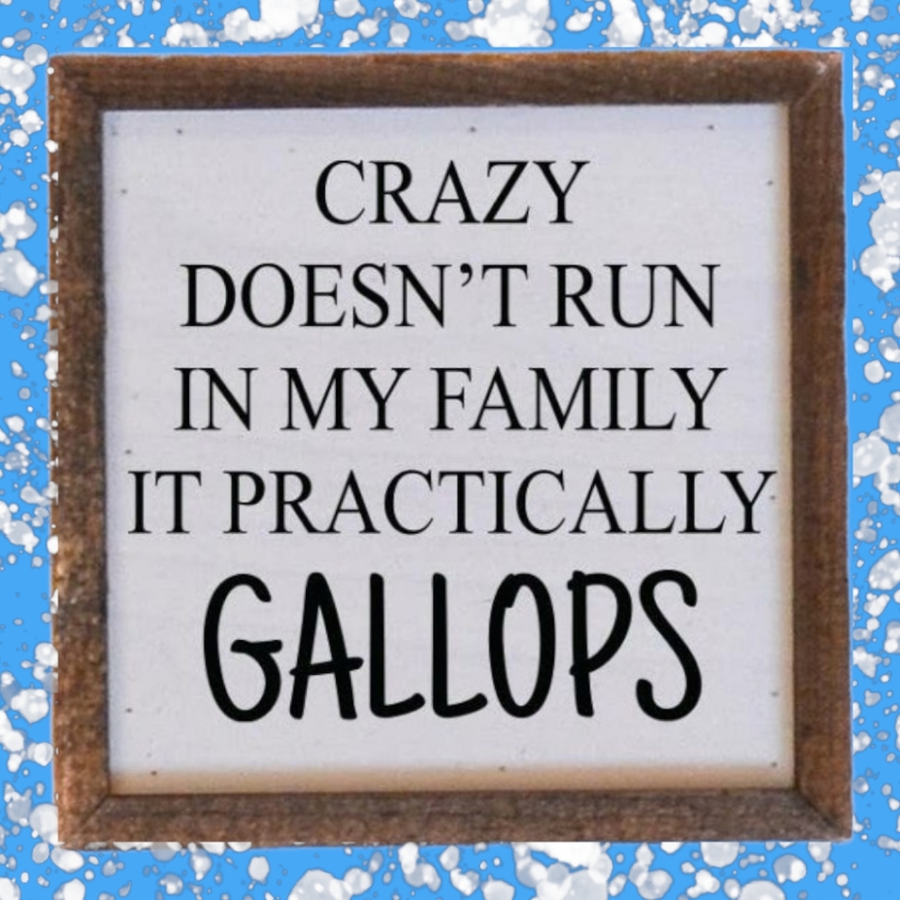 Rustic Wood Frame Fun Quote Home Wall Decor